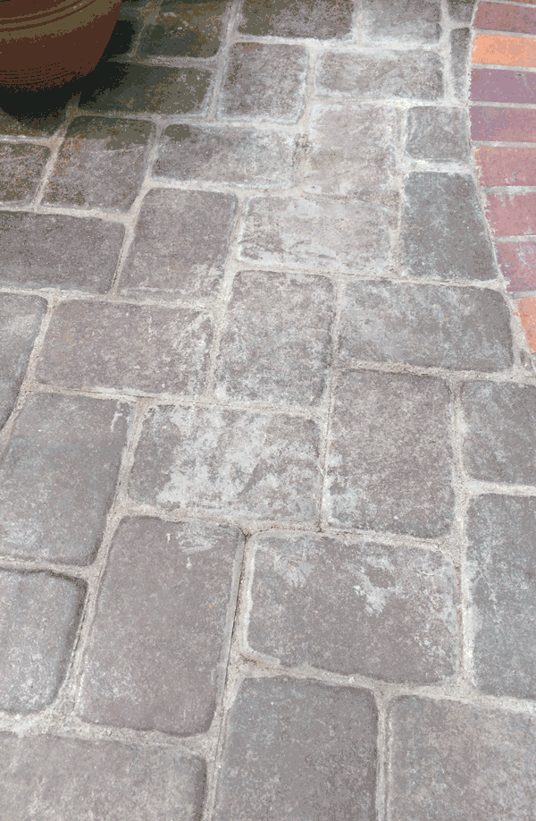 se_gallery-image6